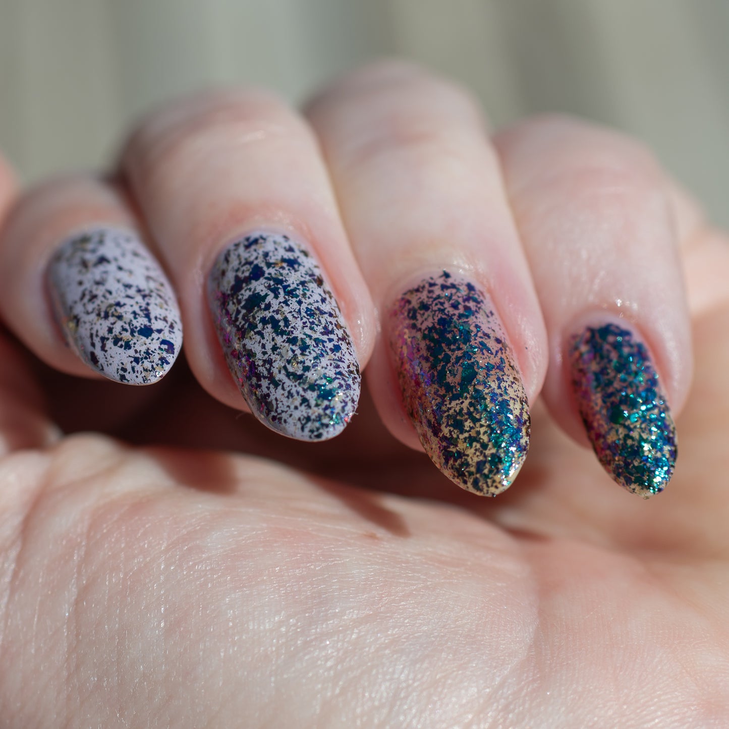 Peacock Parade