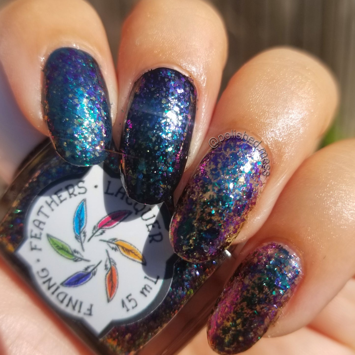 Peacock Parade