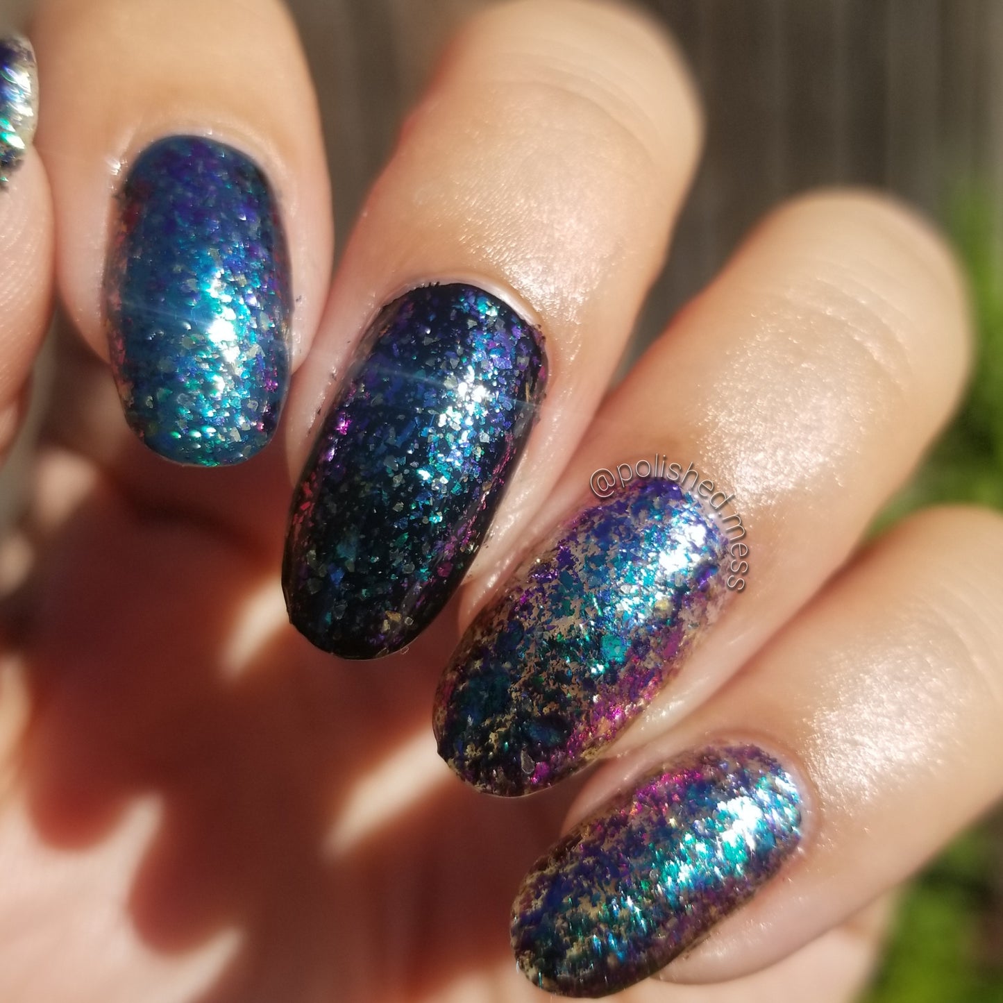 Peacock Parade